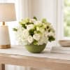 Make your loved ones smile this season with the Pistachio! This 5