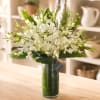 White orchid arrangement in a tall glass vase