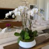 White orchid arrangement in a white bowl planter
