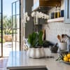 White orchids in a white ceramic pot on a kitchen counter