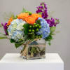Bouquet of orange roses, blue hydrangeas, and purple flowers in a glass cube vase