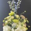Tall floral arrangement with white hydrangeas, blue delphinium, and green blooms in a vase