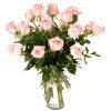 Tall arrangement of light pink roses in a clear glass vase with long stems