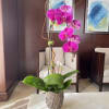 Tall orchid arrangement in a textured stone vase