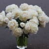 A dozen (12 stems) of peonies in various shades of pink, presented