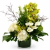 Elegant and sophisticated, Emerald Serenity is a breathtaking floral arrangement designed to