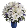 White lilies and daisies arranged in a blue vase with purple accents