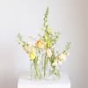 Three small glass vases hold pale yellow and white flowers.