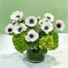 White anemones in a glass vase with bright green hydrangeas