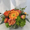 Orange gerbera and roses in a glass vase with green hydrangea