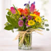 roses Tulips and more 