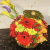 This festive holiday arrangement is designed inside a natural pumpkin vessel, creating