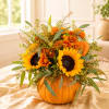 Sunflower and orange chrysanthemum arrangement in a pumpkin container