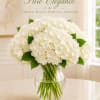 A handcrafted bouquet of lovely white hydrangeas with fresh-cut green accents in