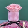 Everlasting preserved rose, touch of nature&rsquo;s elegance, beauty low maintenance. 

Preserved roses