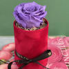Everlasting preserved rose, touch of nature&rsquo;s elegance, beauty low maintenance. 

Preserved roses