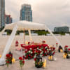 Beach picnic setup with red and white roses under a canopy