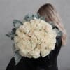 Large bouquet of cream roses with silvery foliage