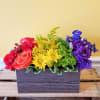 With a rainbow color pallete, this arrangement has everything from bold reds