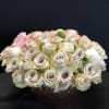 ***No specific delivery time available**

This beautiful European modern style has become one