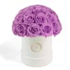 Purple roses arranged in a white round box