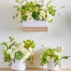 Three white floral arrangements with green accents in white containers