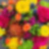 Blurred bouquet of bright mixed flowers in vivid pink, yellow, orange, and green