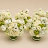 Three white floral arrangements with green apples in clear glass vases