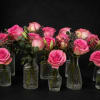 Pink roses arranged in small clear glass vases with greenery