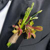 Boutonniere with green orchid blooms on a black suit jacket