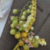 Boutonniere with green berries, pale blossoms, and pink flowers on dark fabric