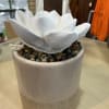 White lotus-shaped decor in a beige ceramic pot with pebbles