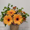 Orange gerbera daisies in a rustic vase with pink accent flowers