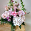 First Blush
Soft Elegance in Bloom

Delicate and refined, First Blush is a graceful