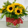 These gorgeous sunflowers would brighten anyone's day! Featuring yellow sunflowers, lush deep