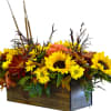 This fall bloom arrangement in a rustic wooden box brings the rich