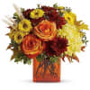 Autumn is an awesome season and it's meant to be celebrated in