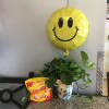 Potted green plant with a yellow smiley-face balloon and a candy bag