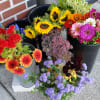 Assorted colorful flower buckets with sunflowers, gerbera daisies, and purple blooms