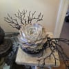 Succulent arrangement in a black bowl with decorative black branches