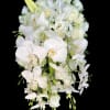 Cascading white bouquet with orchids, lilies, and roses against a black background