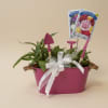 Cute tin planter with mini tools attached. Currently planted with Zinnias of