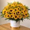Large bouquet of yellow sunflowers in a white hatbox