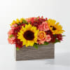 Sunflowers, roses, and carnations in a rectangular wooden box