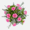 Pink roses arranged with eucalyptus on a white background