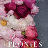 Peonies: Beautiful Varieties For Home &amp; Garden