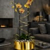 Two orchid stems in a gold planter with a spiral ribbon