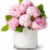 Pink peonies arranged in a white glass vase