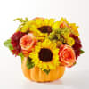 GOLDEN GOURD PUMPKIN BOUQUET

No need to go to the pumpkin patch this
