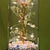 Decorative glass dome with a single iridescent rose and pastel beads